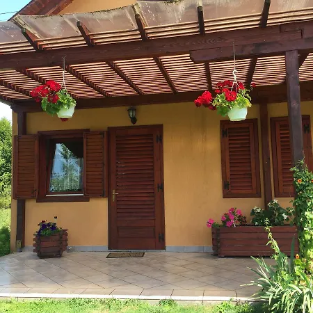 Apartment Hanga Sovata